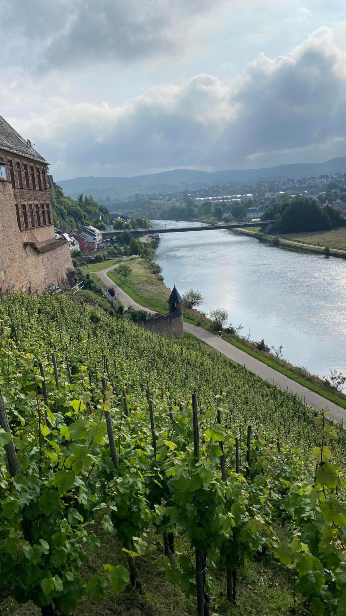 Weingut Dr Wagner Villa Saarburg Exterior foto